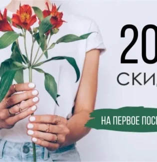 Салон красоты Enchante