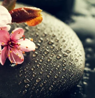 Спа-салон тайского массажа Crown Thai Spa